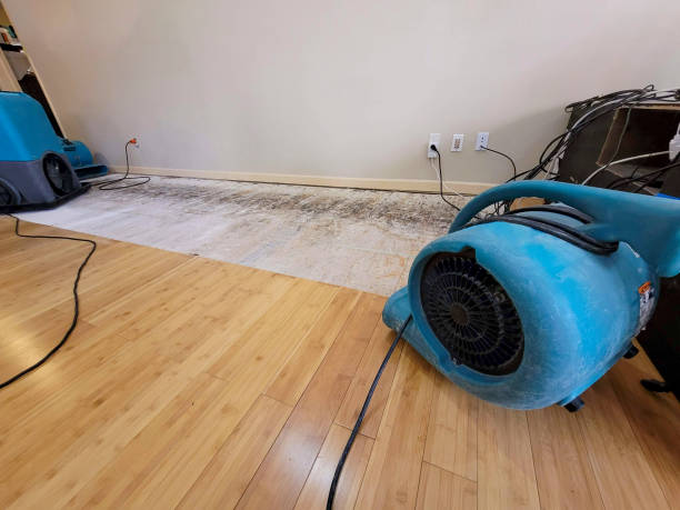 Professional Structural Drying technician working in De Soto, MO